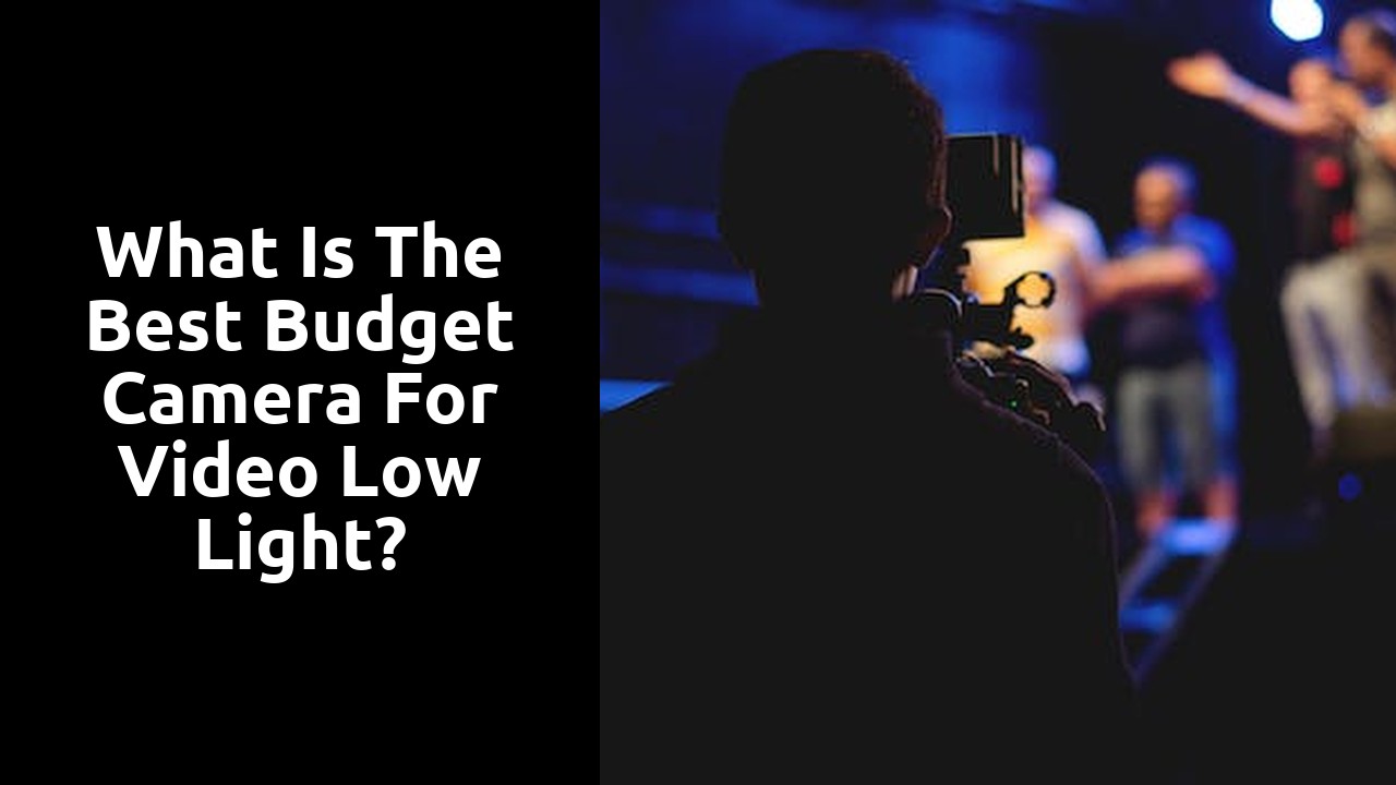 What is the best budget camera for video low light?