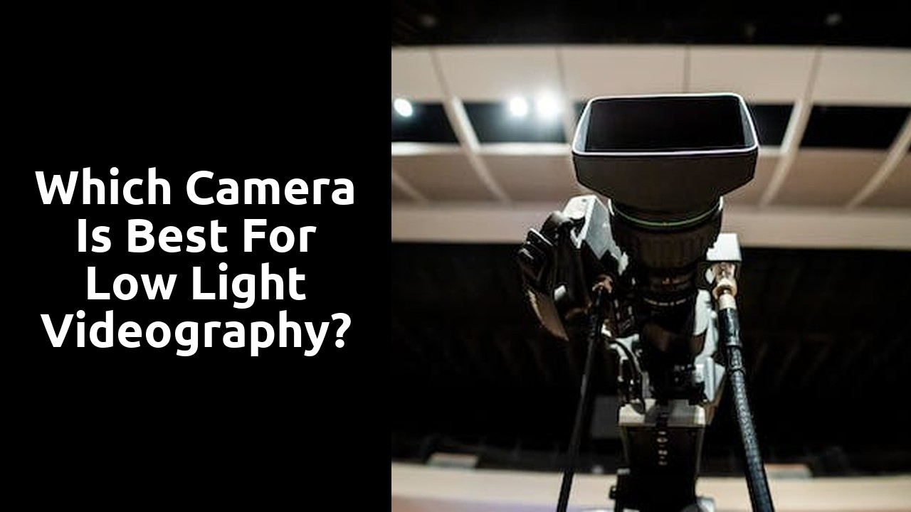Which camera is best for low light videography?