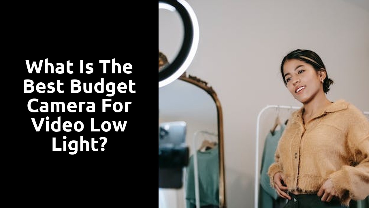 What is the best budget camera for video low light?