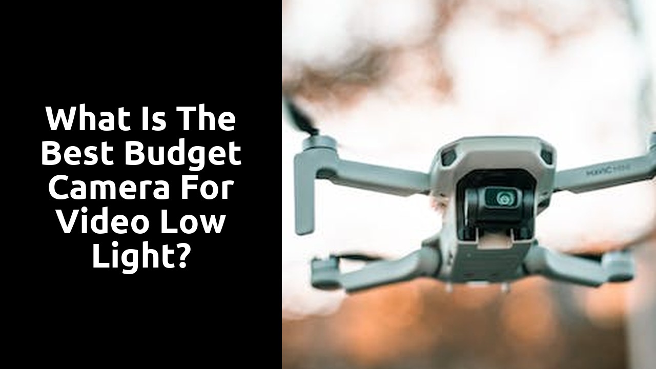 What is the best budget camera for video low light?