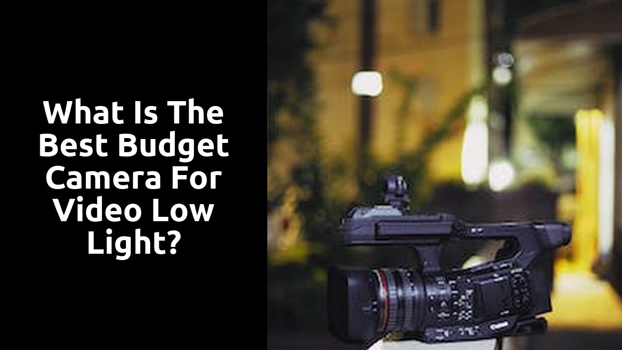 What is the best budget camera for video low light?